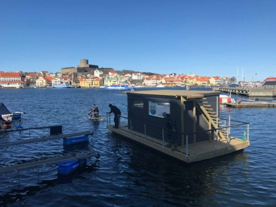 Marstrands havshotell badstuflåte