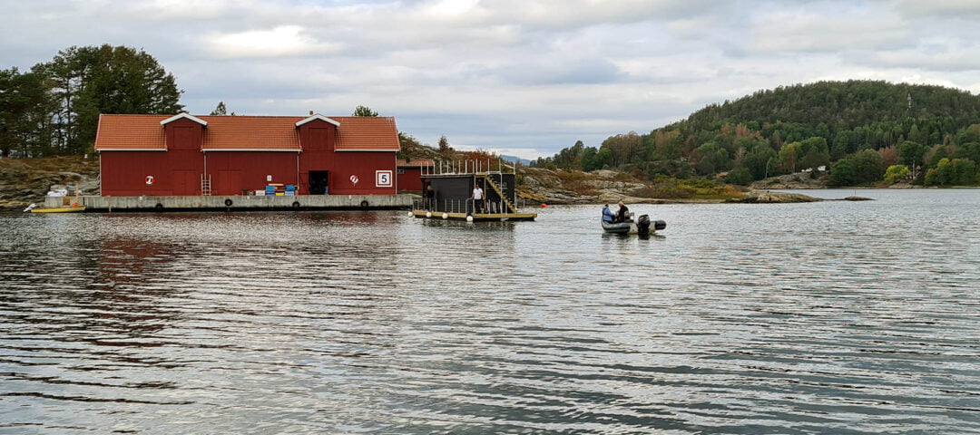 Lieferung von Saunabooten Son Spa Lieferung von Saunabooten Son Spa