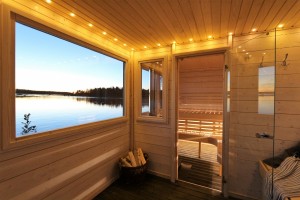 Bastutrailer modell Frank till salu