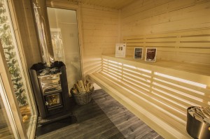 Bastu-Wohnung auf der Gartenschau 2108 
